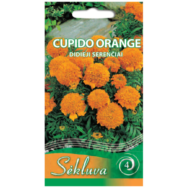 serenciai-Cupido-orange Didieji serenčiai Cupido Orange