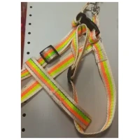 Petnešos augintiniui su pavadėliu