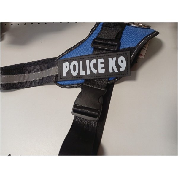 819f430e-bfc5-4acc-8b85-5ff9855640df Petnešos dydis L POLICE