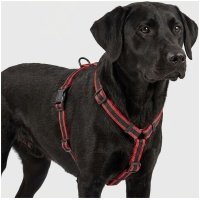 Gemini_Generated_Image_q0em0lq0em0lq0em Petnešos augintiniui 4-7 kg
