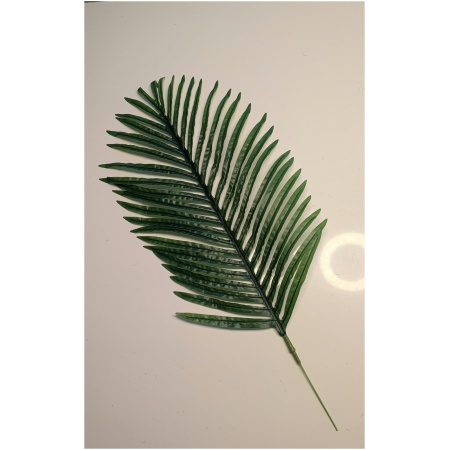 a8a60dcd-20ef-4b67-b868-0e804fe68431 Dirbtinė gėlė palmės lapas 73cm