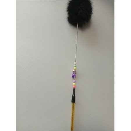 40 cm su spyruokle